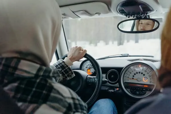 Vehicle driver assistance systems display