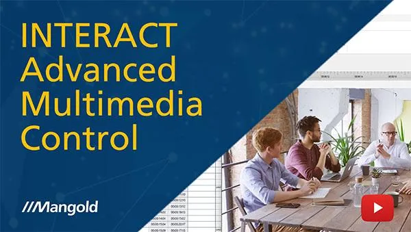 Advanced Multimedia Control in INTERACT: Master Video Navigation and Playback
