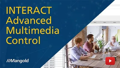 Advanced Multimedia Control in INTERACT: Master Video Navigation and Playback