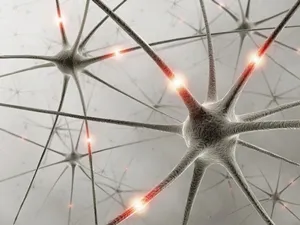 Highly Sensitive? A Study on High Sensitivity